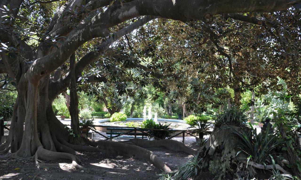 קליארי Tigelliotre Bed And Breakfast מראה חיצוני תמונה